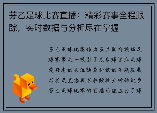 芬乙足球比赛直播：精彩赛事全程跟踪，实时数据与分析尽在掌握